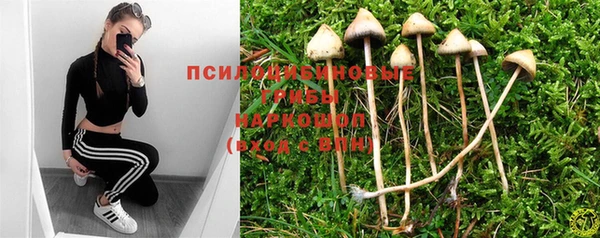 PSILOCYBIN Армянск